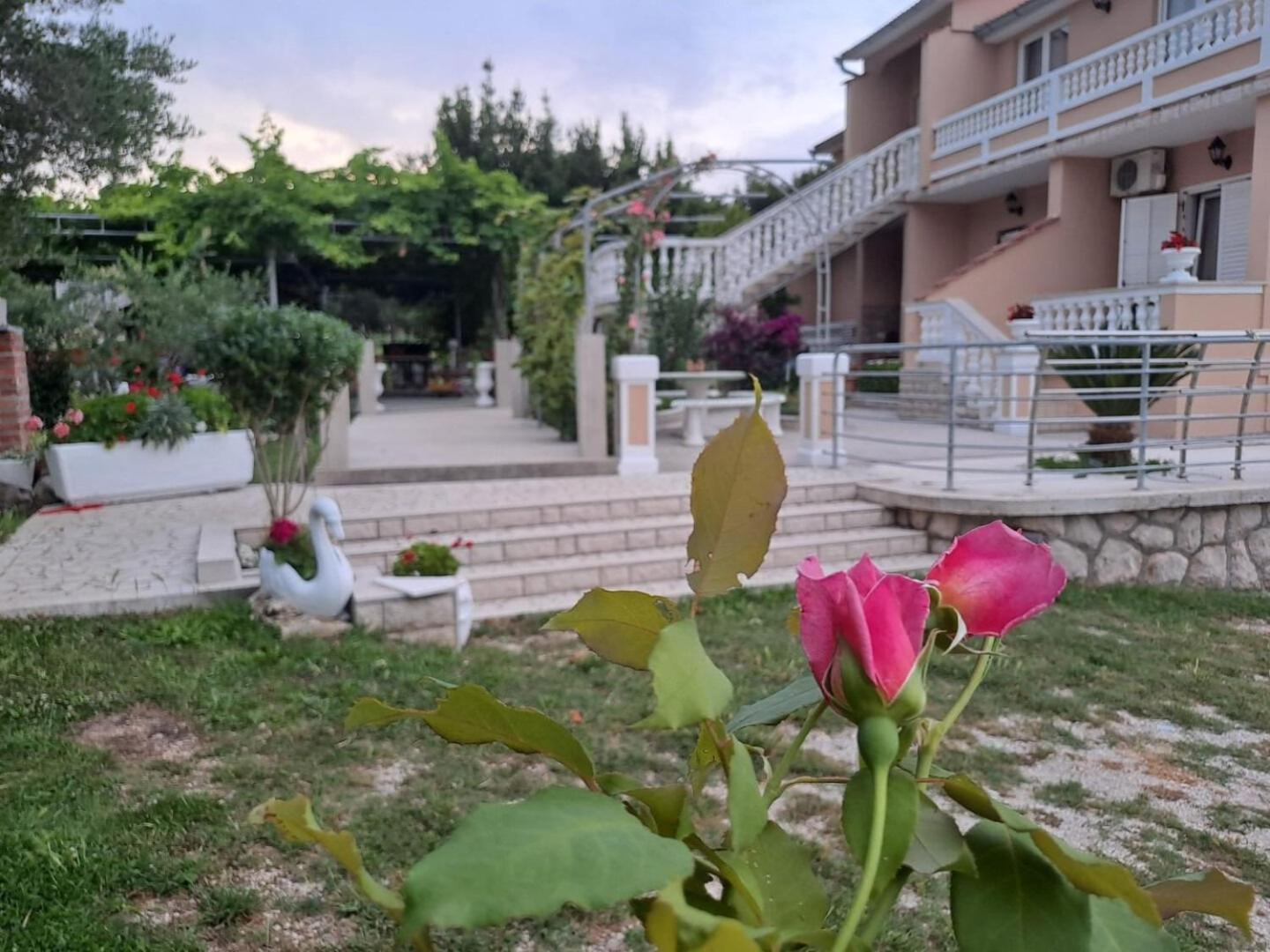 Apartments Mig - With Beautiful Garden Supetarska Draga Eksteriør bilde
